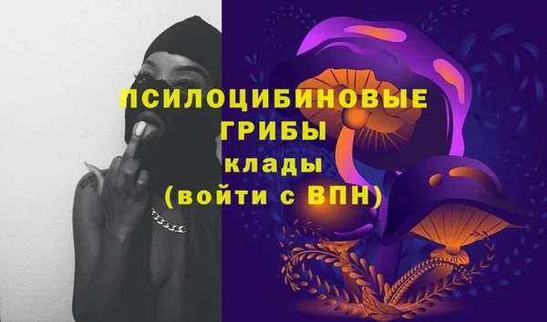 амф Алексеевка