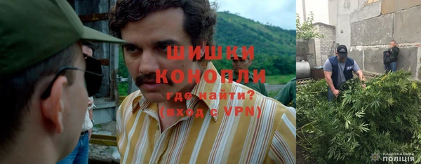 спайс Алексин