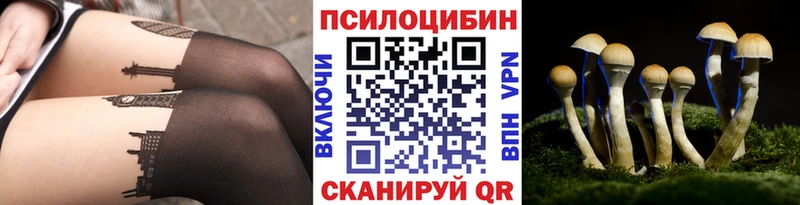 что такое наркотик  Спас-Клепики  Галлюциногенные грибы GOLDEN TEACHER 